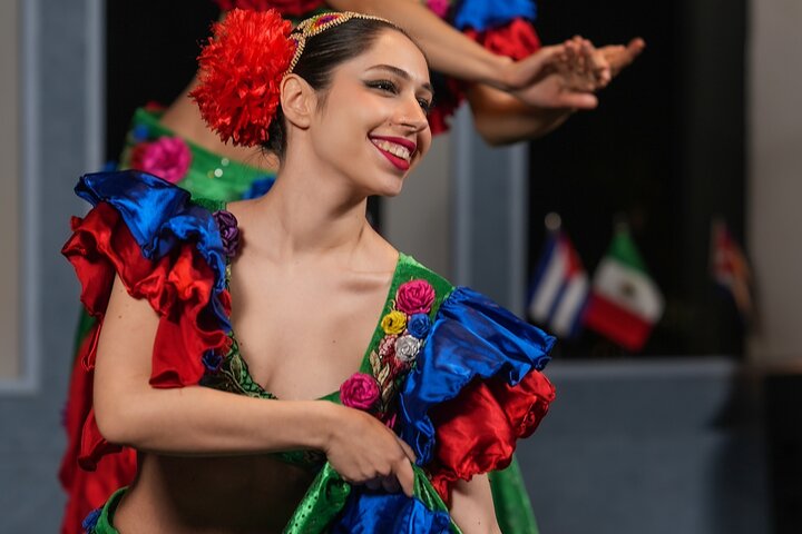 BOSPHORUS DINNER CRUISE & TURKISH NIGHT SHOW (STANDARD TABLE WITH ALCOHOL)